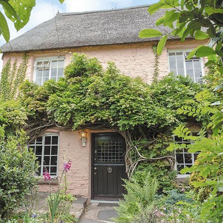 Laurel Cottage Stoke Gabriel 外观 照片